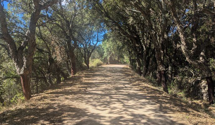 Foto 2 der Bikemap-Route "Olbia to Luras" Foto 2 der Bikemap-Route "Olbia to Luras"