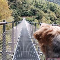 Foto 7 de la ruta de Bikemap "Arco nach Tenno See"