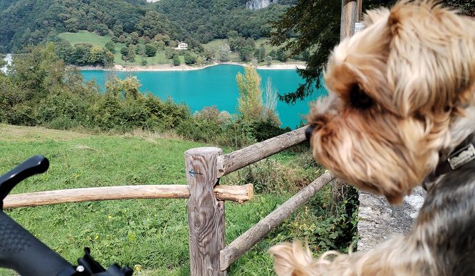 Foto 2 de la ruta de Bikemap "Arco nach Tenno See"