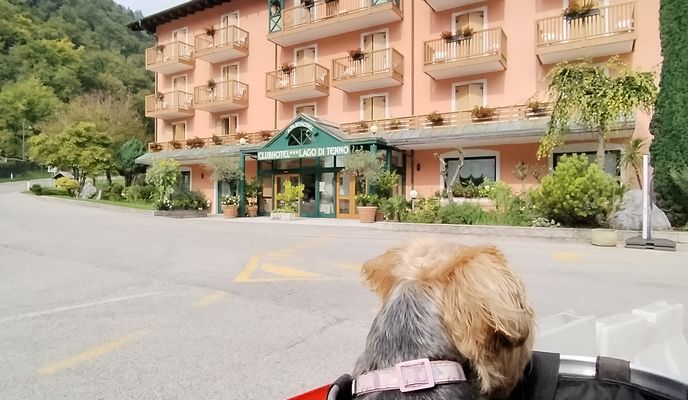 Foto 1 de la ruta de Bikemap "Arco nach Tenno See"