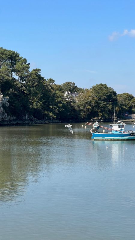 Rue Alexandre le Pontois, Vannes à Rue des Aigrettes, Trignac