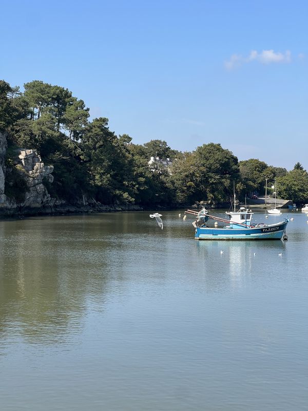 Rue Alexandre le Pontois, Vannes à Rue des Aigrettes, Trignac