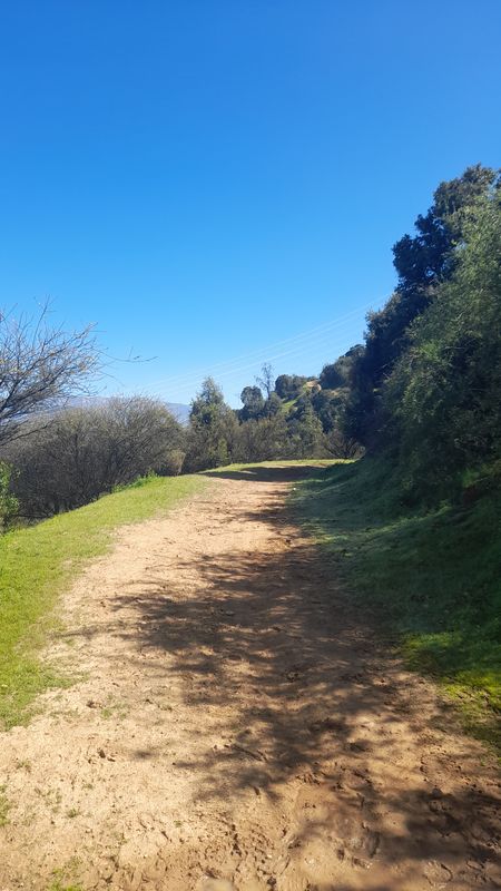 reconocimento ant. norte sur