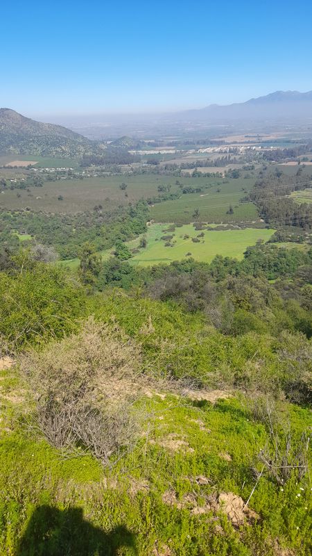 reconocimento ant. norte sur