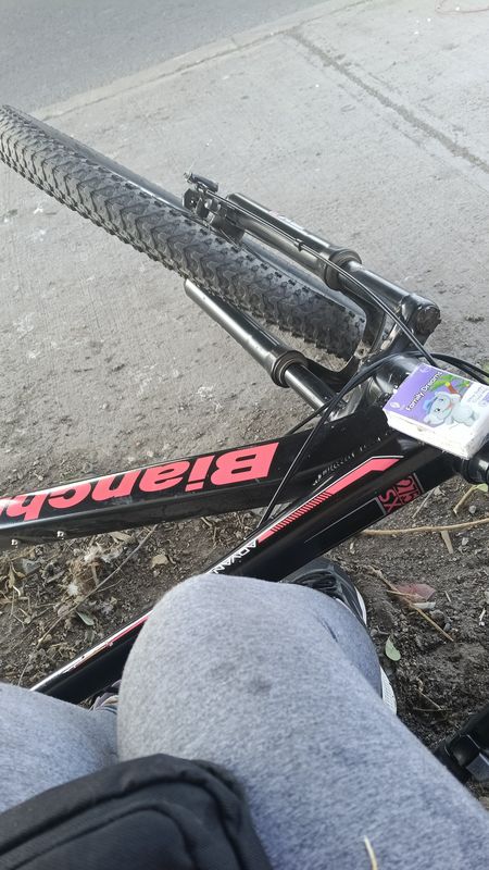 De Caletera Acceso Sur a Estación El Canelo