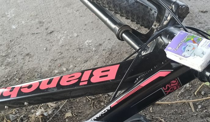 Photo 2 of the Bikemap route "De Caletera Acceso Sur a Estación El Canelo"