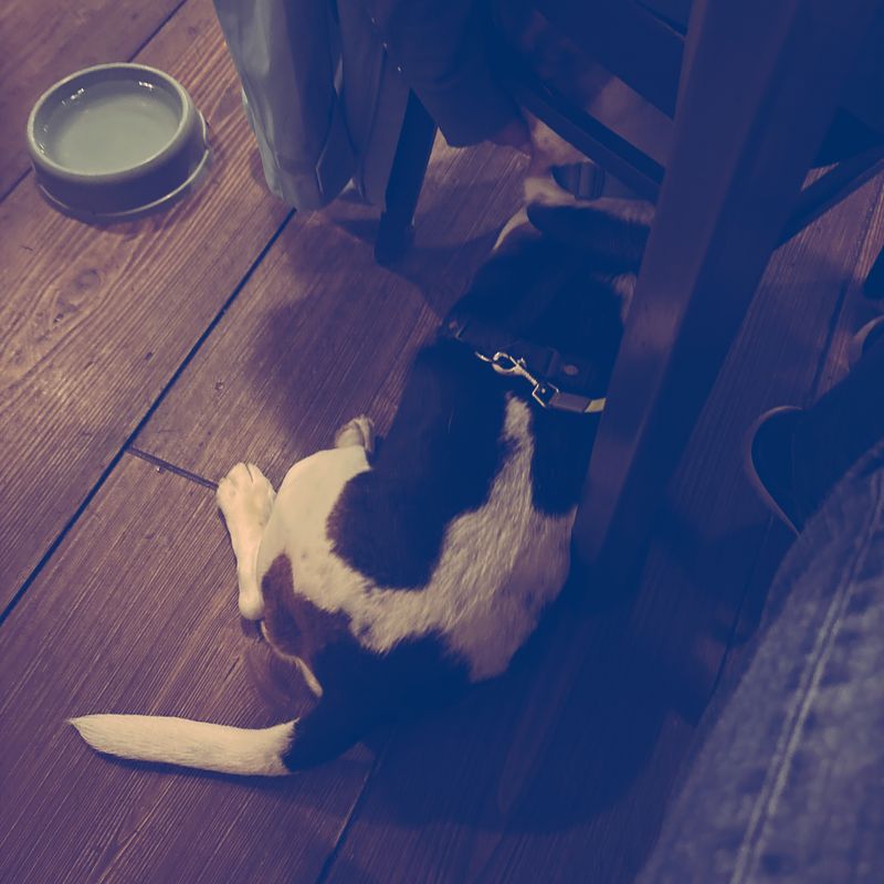 Černice, Mojné nach Černice, Mojné