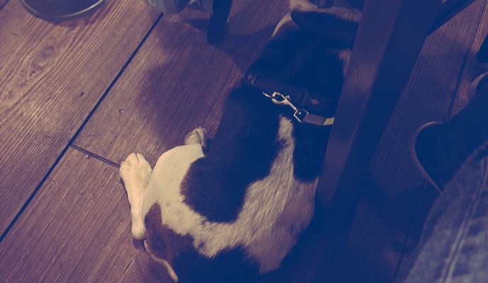 Zdjęcie 1 trasy Bikemap „Černice, Mojné nach Černice, Mojné”