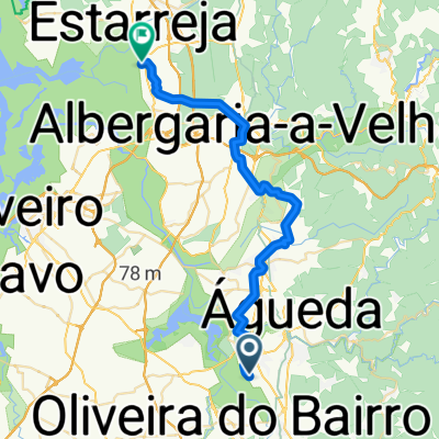 Oliveira do Bairro - Salreu