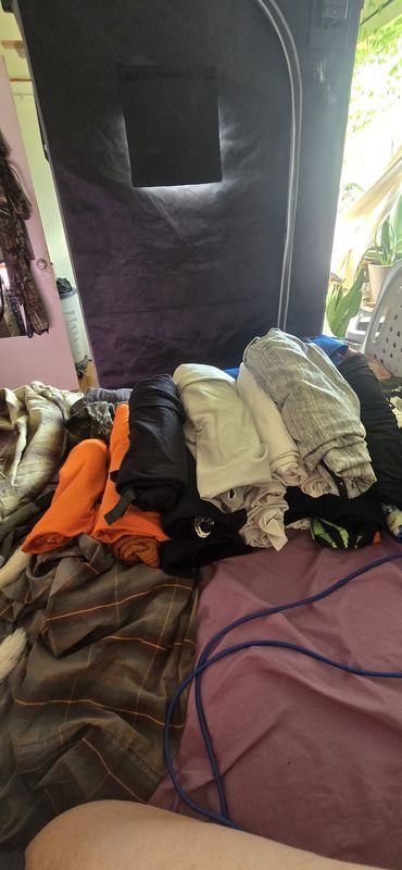 Lake Shore Boulevard West to Silvercrest Avenue