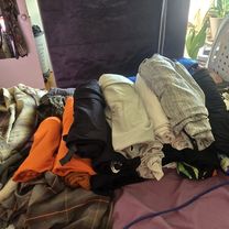 Lake Shore Boulevard West to Silvercrest Avenue