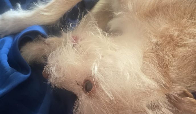 Photo 2 de l’itinéraire Bikemap « Lake Shore Boulevard West to Silvercrest Avenue »