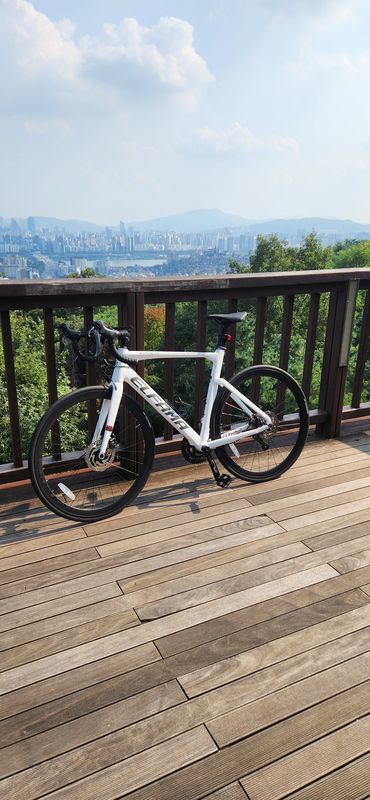 νΈμν κ²½λ‘