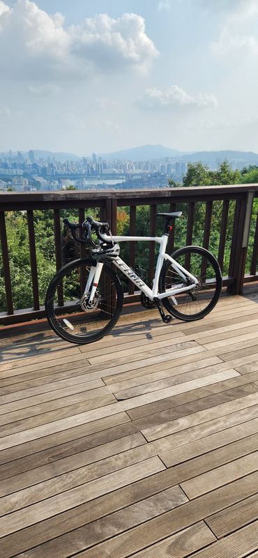 νΈμν κ²½λ‘