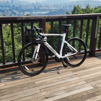 νΈμν κ²½λ‘