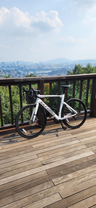 νΈμν κ²½λ‘