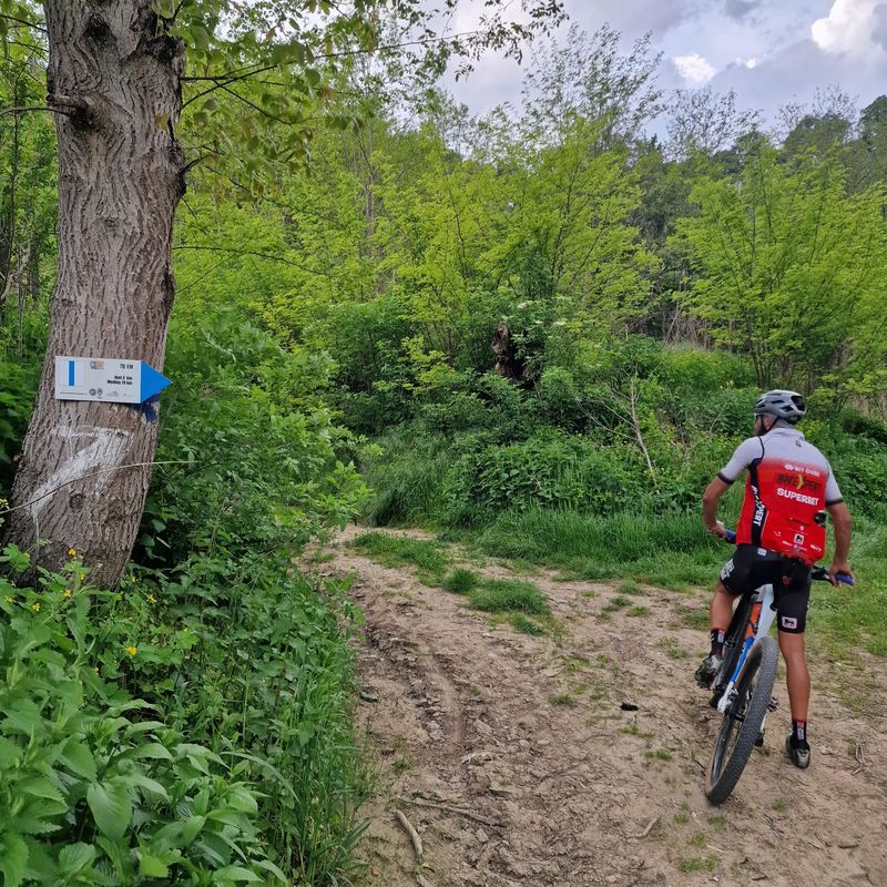 Richiș – Biertan – Dupuș – Ațel - Richiș