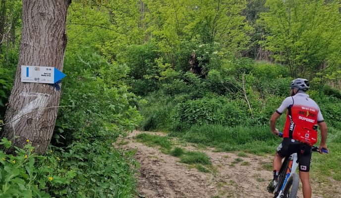 Photo 2 of the Bikemap route "Richiș – Biertan – Dupuș – Ațel - Richiș"
