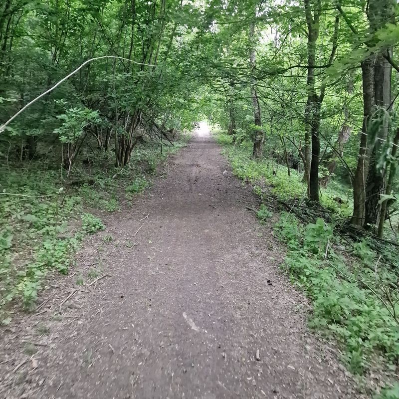 Richiș – Biertan – Dupuș – Ațel - Richiș