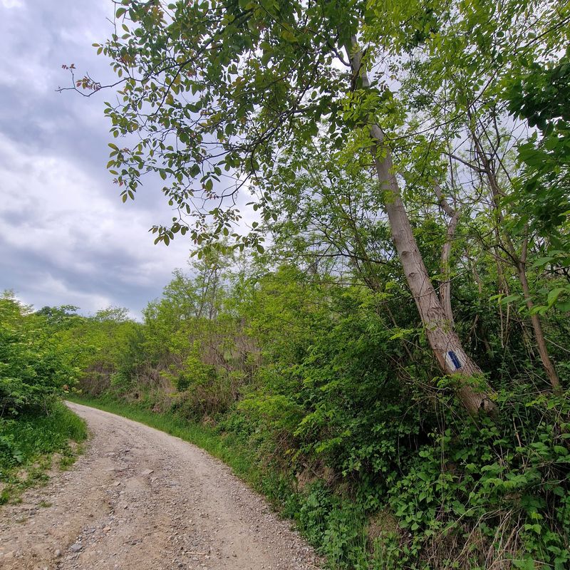 Richiș – Biertan – Dupuș – Ațel - Richiș