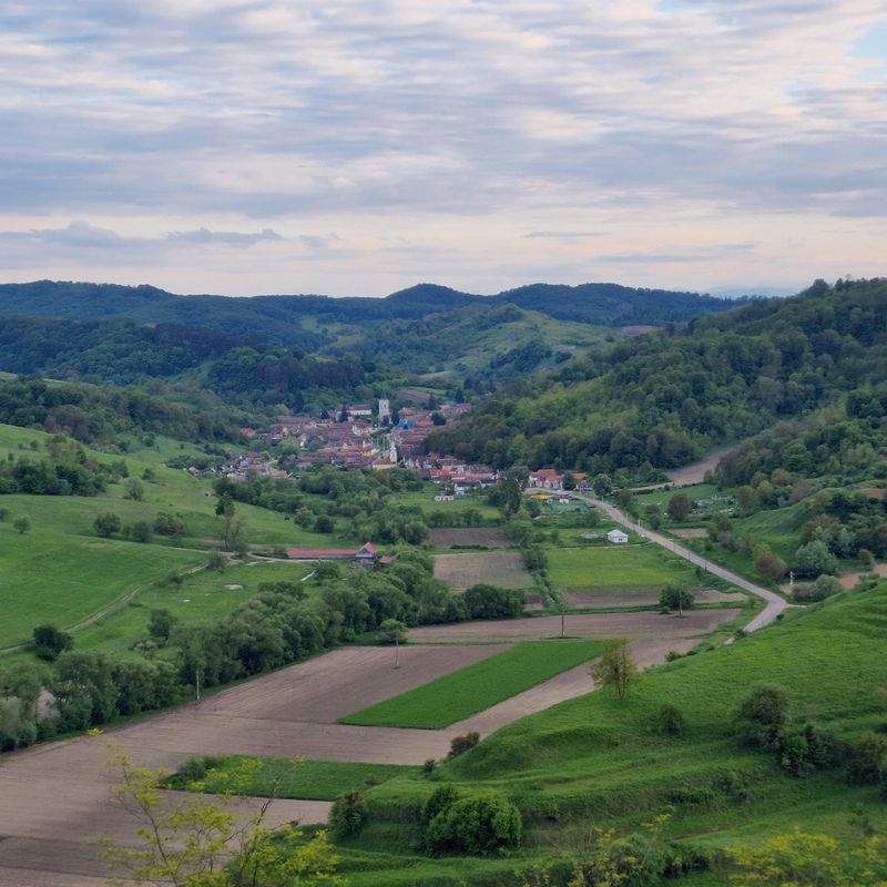 Richiș - Biertan - Richiș