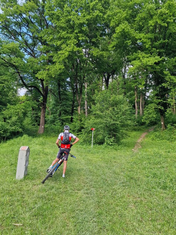 Richiș - Biertan - Richiș