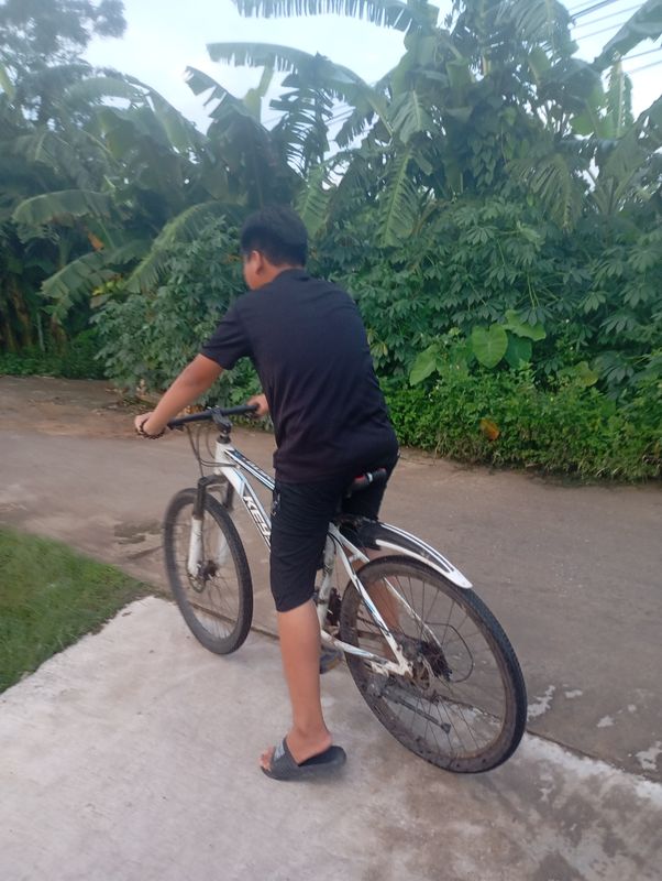 Steady ride