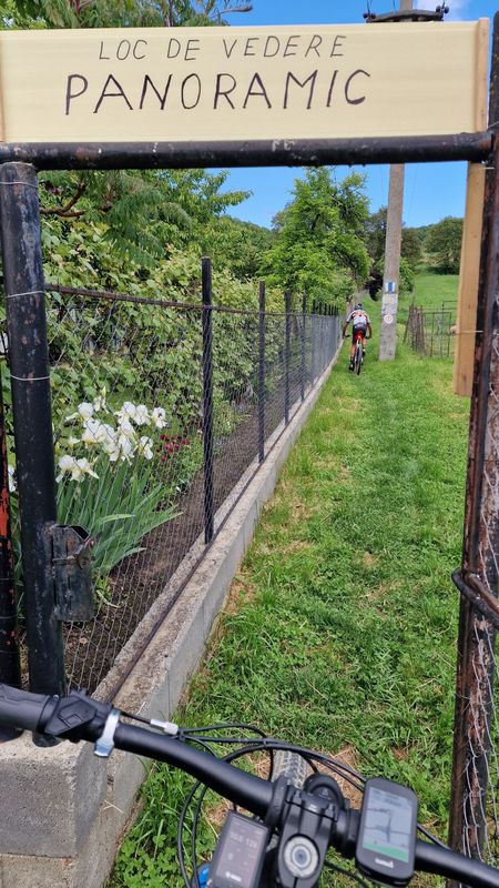 Richiș_Biertan_Copșa_Mare_Fetea_Richiș