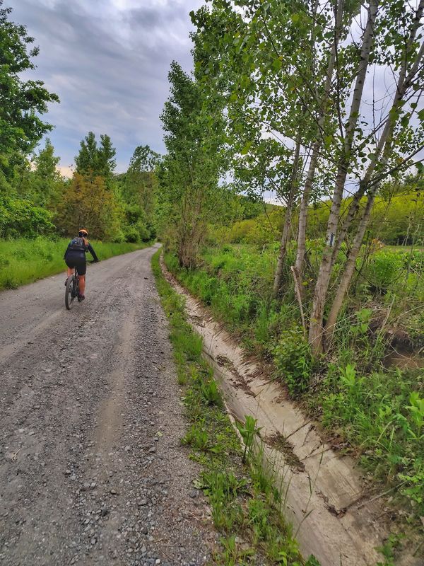 Richiș - Nemșa - Alma Vii - Richiș