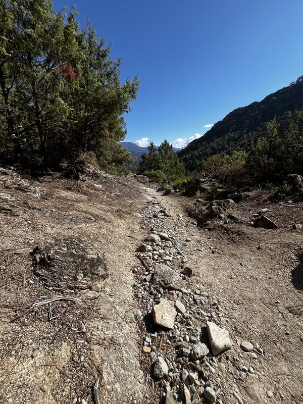 Rue du Palais National, Corte à Cours Paoli, Corte