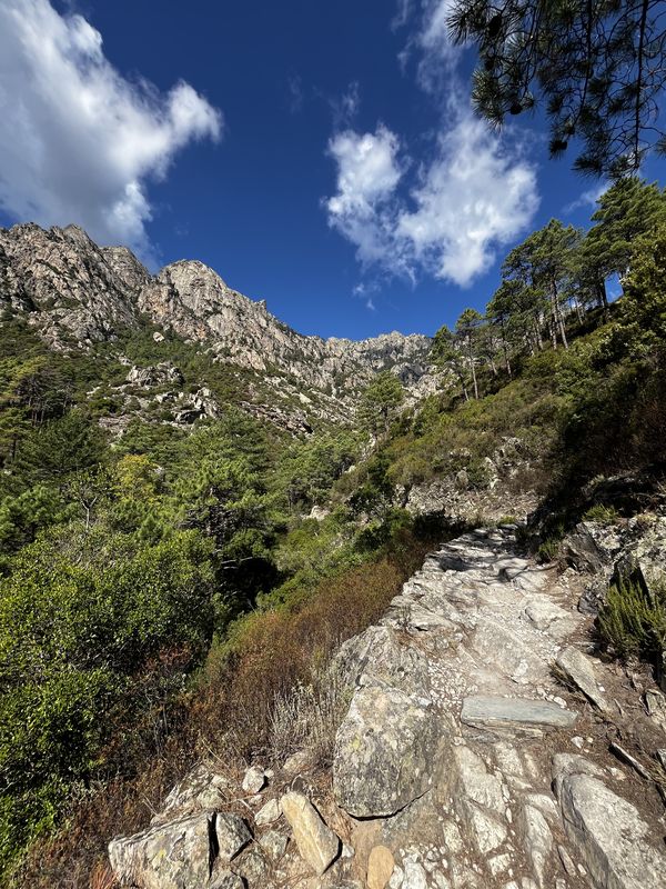Rue du Palais National, Corte à Cours Paoli, Corte