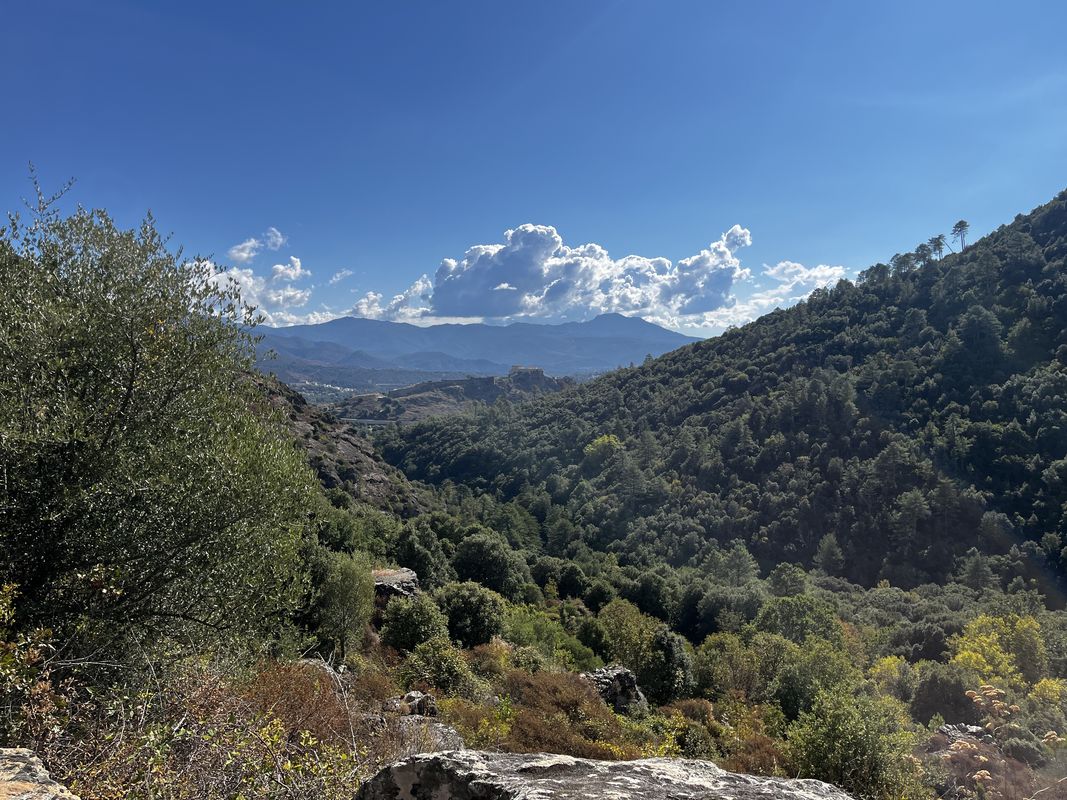 Rue du Palais National, Corte à Cours Paoli, Corte