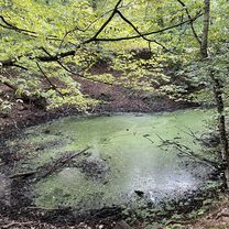Lindenstraße, Haldensleben nach Dorfstraße, Haldensleben