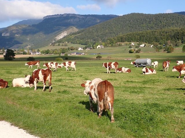 Villard-de-Lans - Circle to Lans-en-Vercors for Shopping