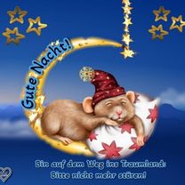 Neptunstraße nach Am Wilden Teich