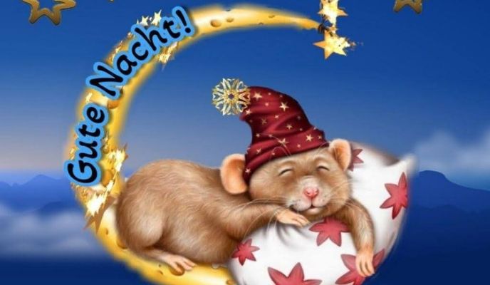 Photo 1 of the Bikemap route "Neptunstraße nach Am Wilden Teich" Photo 1 of the Bikemap route "Neptunstraße nach Am Wilden Teich"