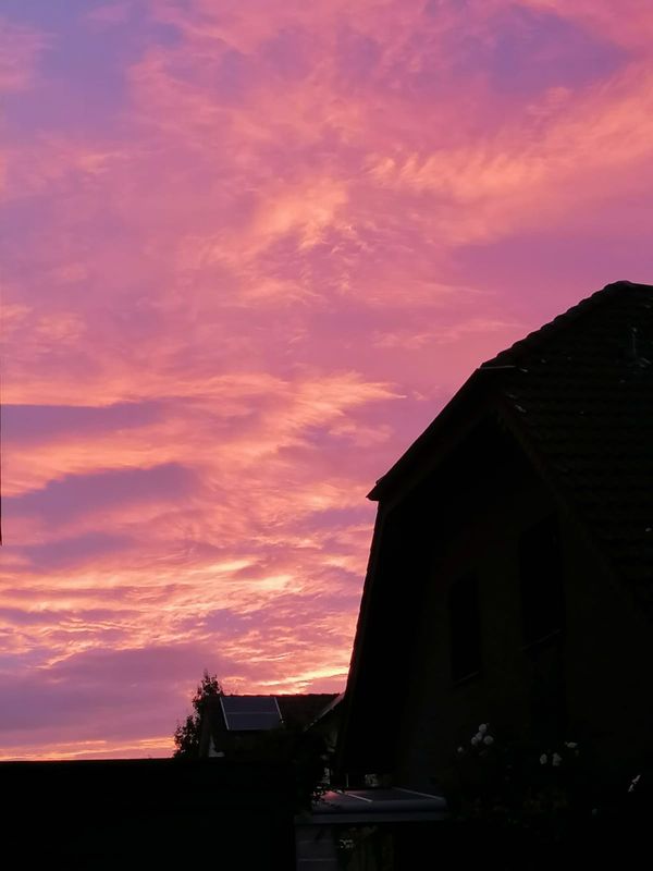 Neptunstraße nach Am Wilden Teich