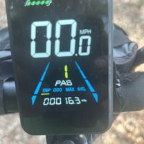 Withlacoochee State Trail, Brooksville to Croom Rital Rd, Brooksville