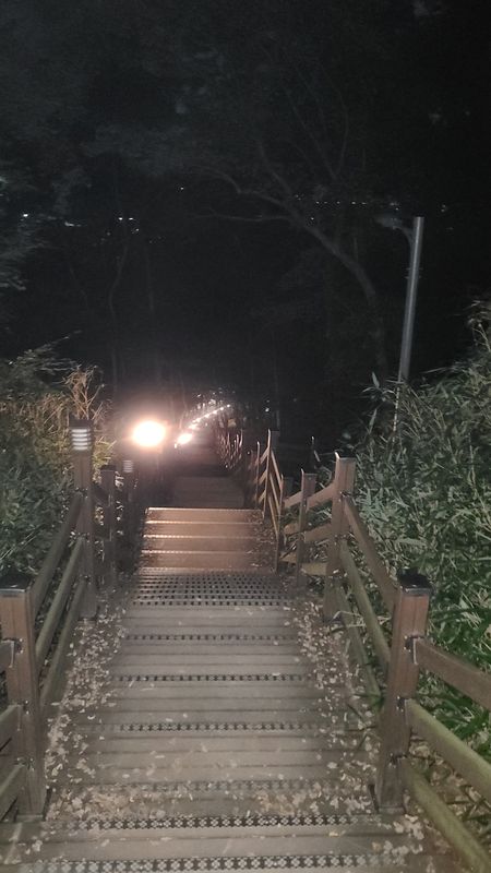 신가동 992-1 ~ 대한민국