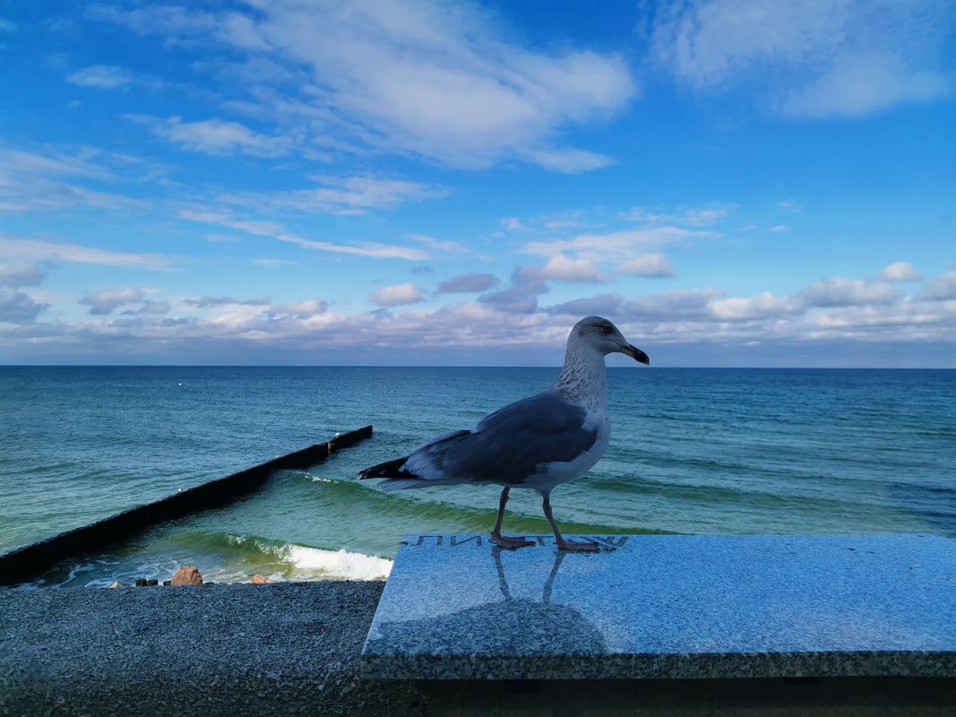 Солнечногорск - Зеленоградск