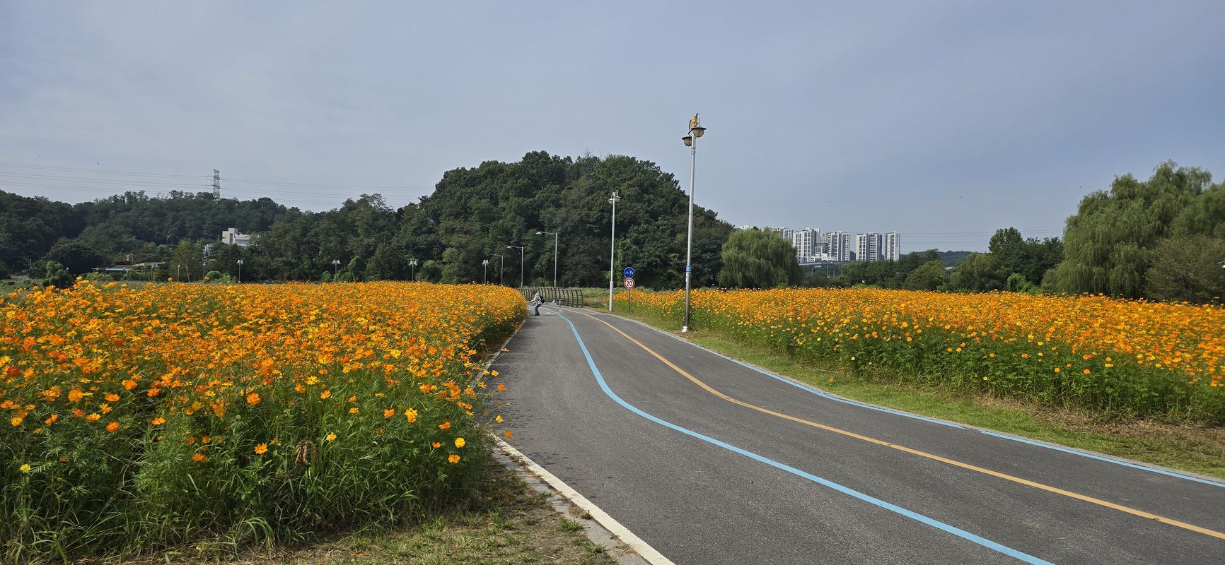 Ph0]에서 경로양서면