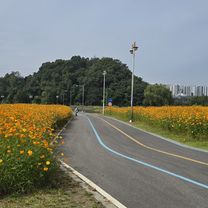 Ph0]에서 경로양서면