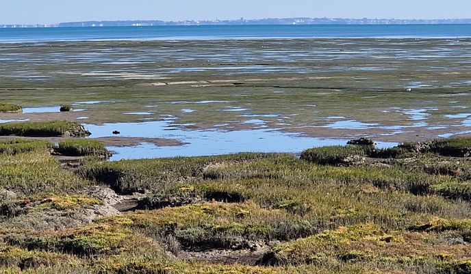 Photo 1 de l’itinéraire Bikemap « Oléron »