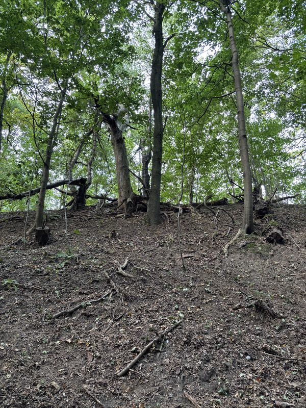 Heberleinstraße, Wolgast nach Am Stadion, Wolgast