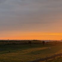 Photo 8 of the Bikemap route "Landkirchener Weg, Fehmarn nach Landkirchener Weg, Fehmarn"