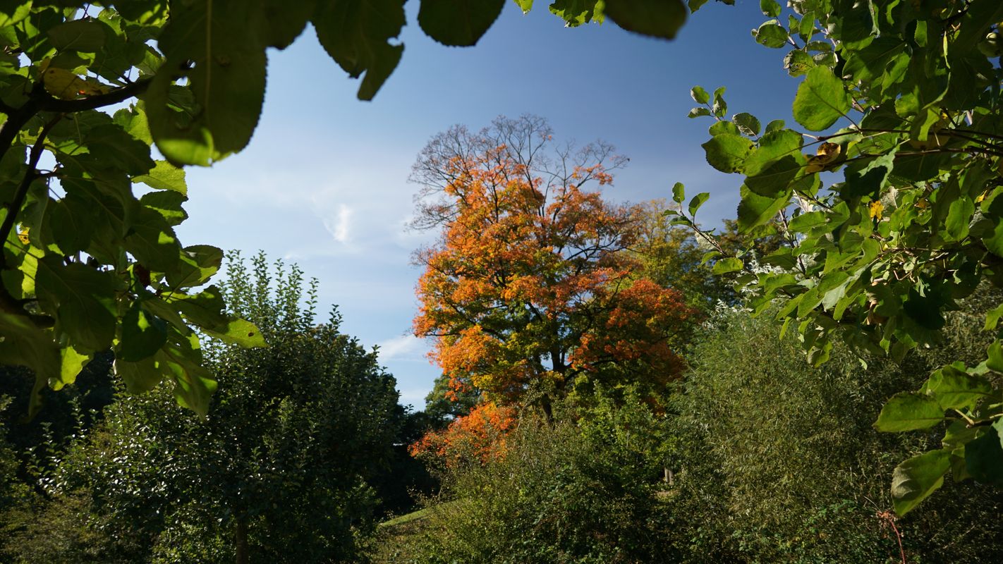 Münster über Werse und DEK