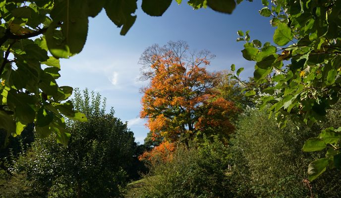 Foto 2 der Bikemap-Route "Münster über Werse und DEK" Foto 2 der Bikemap-Route "Münster über Werse und DEK"