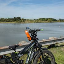 Lake Shore Boulevard West to Indian Line