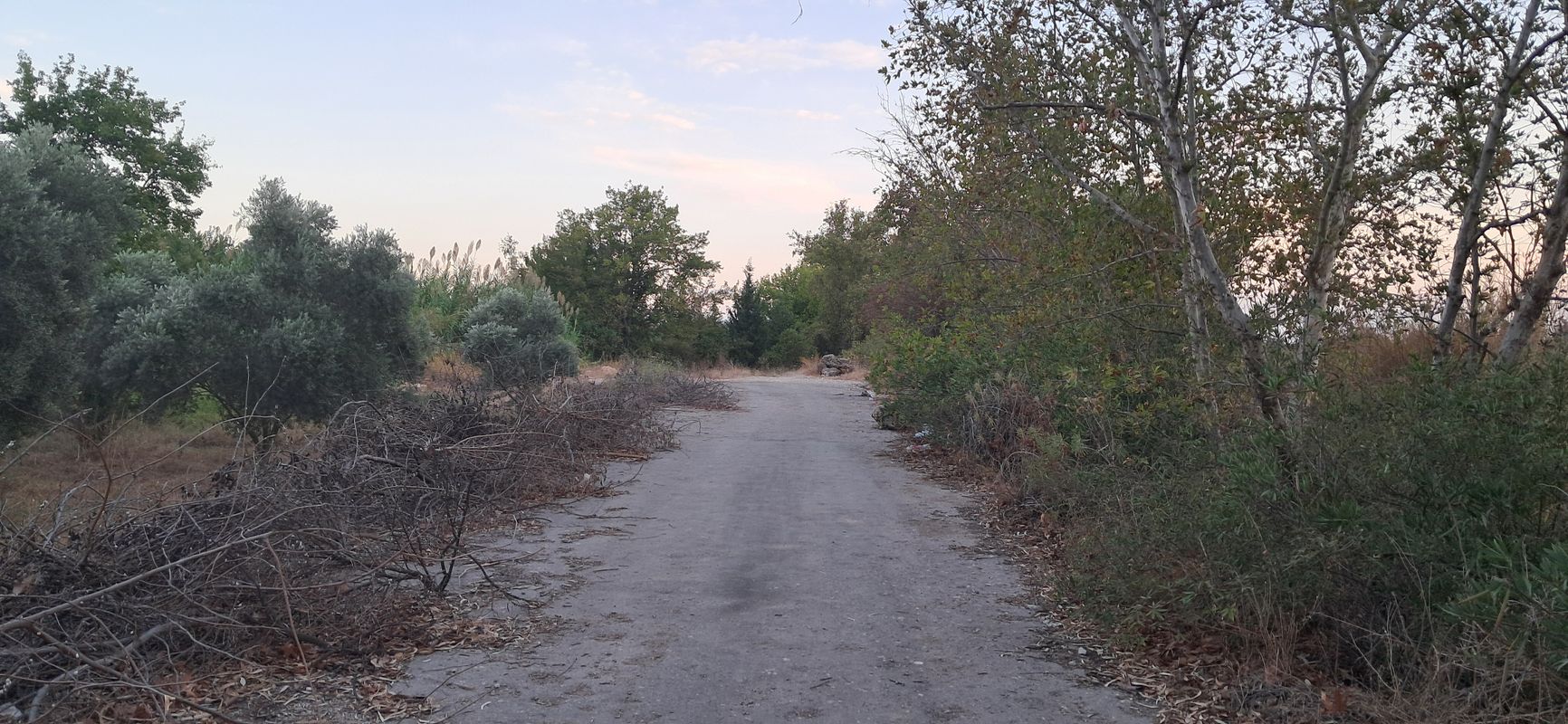 1260. Sokak to 1260. Sokak