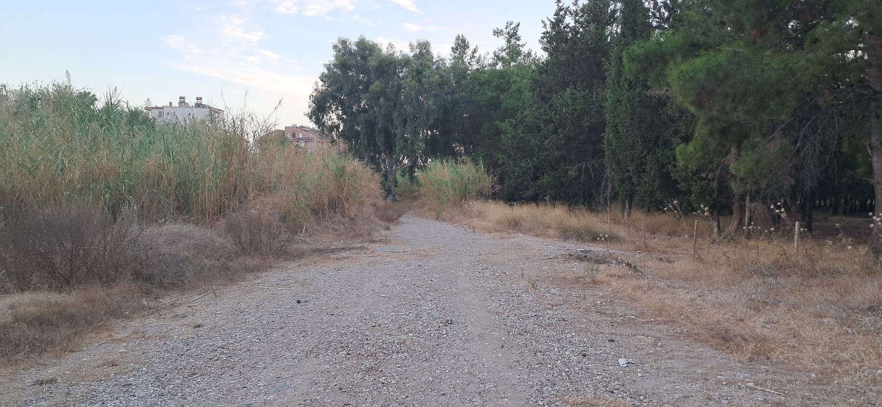 1260. Sokak to 1260. Sokak